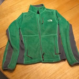 the north face summit series polar