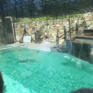 Meet your Posher, Lea