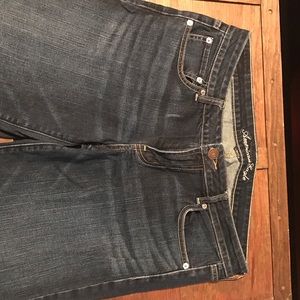 American eagle jeans 14 long