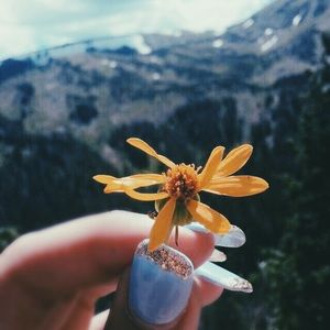 Meet your Posher, Amirah