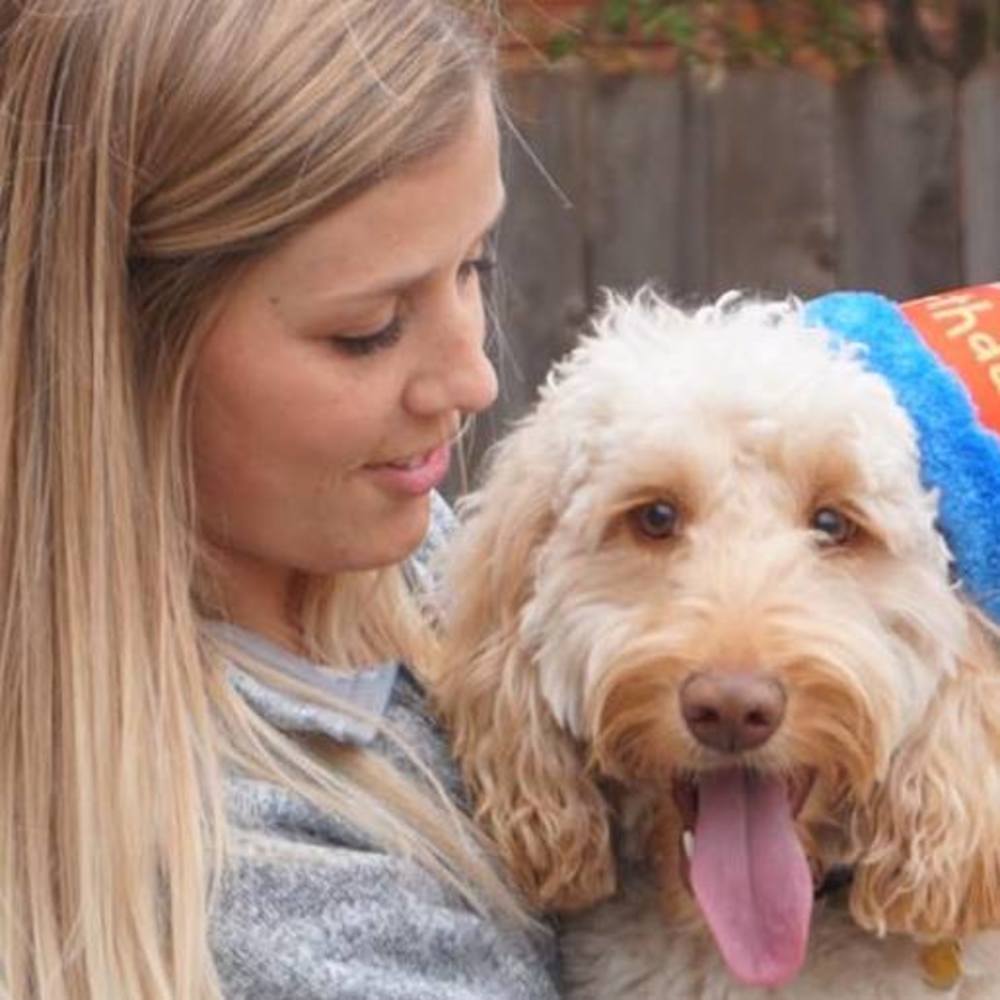 Meet your Posher, Bailey