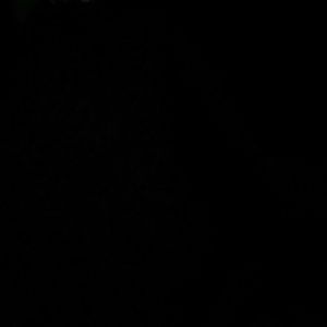 Meet your Posher, Boss