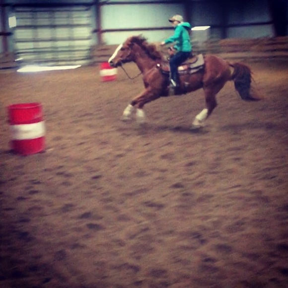 Meet your Posher, Haley - Picture 4 of 4