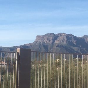 Meet your Posher, Renae