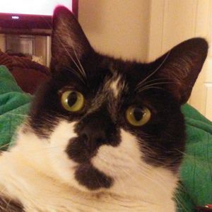 Meet your Posher, Kim