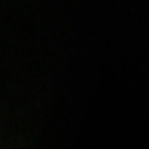 Meet your Posher, Lizzie