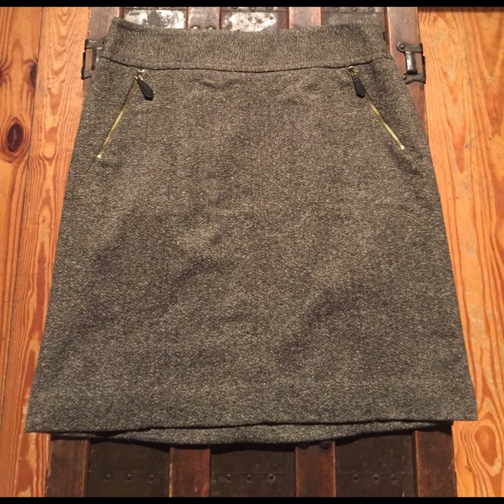 Ann Taylor Skirt