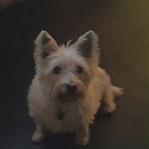 Meet your Posher, Paulette