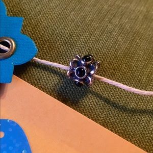 Pandora Charm Black Onyx Stones