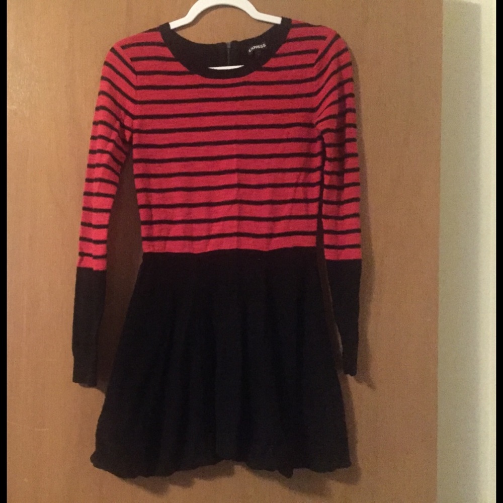 Express skater dress