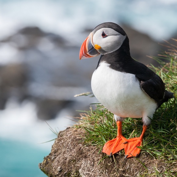 🔹FLASH SALE! Make offers!All Must go TODAY🔹 - Picture 2 of 3