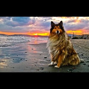 Meet your Posher, Jessy