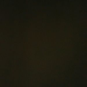 Meet your Posher, Kylee