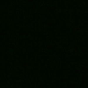 Meet your Posher, Chevey