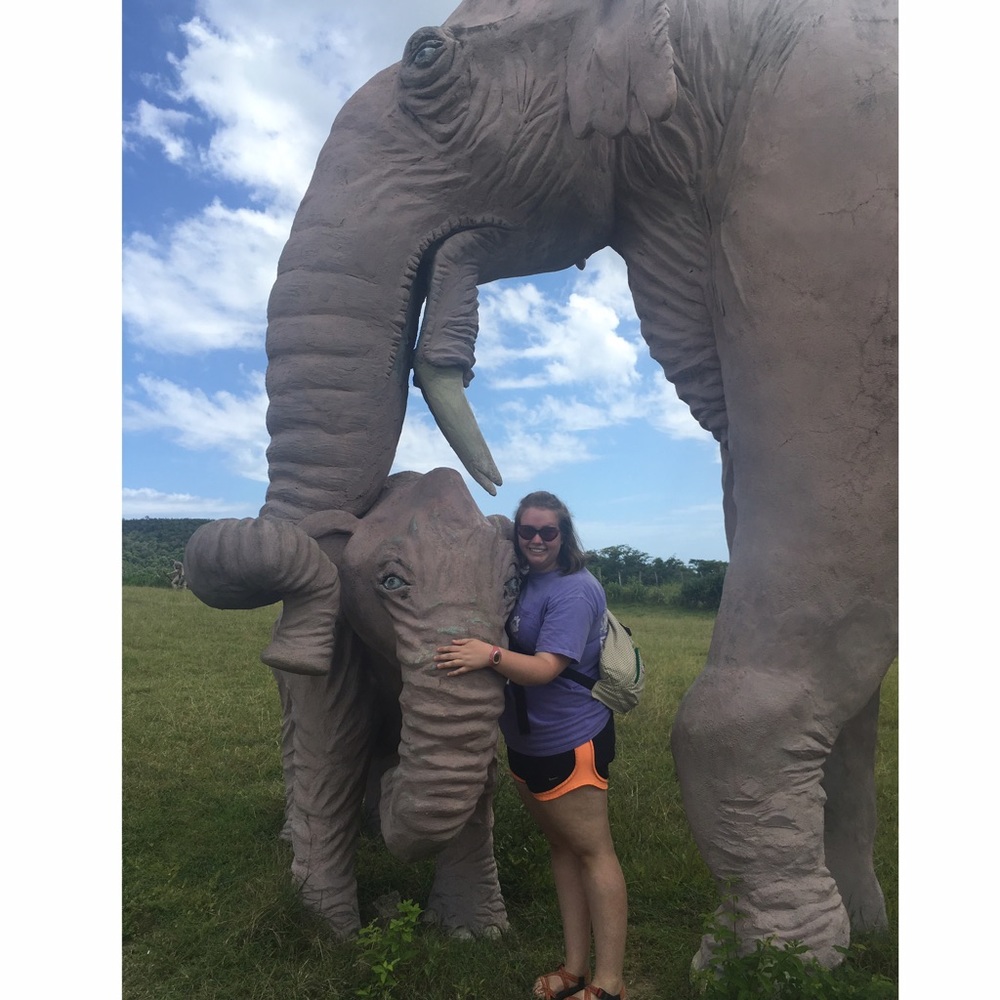 🐘 Meet your Posher, Hayley! 🐘