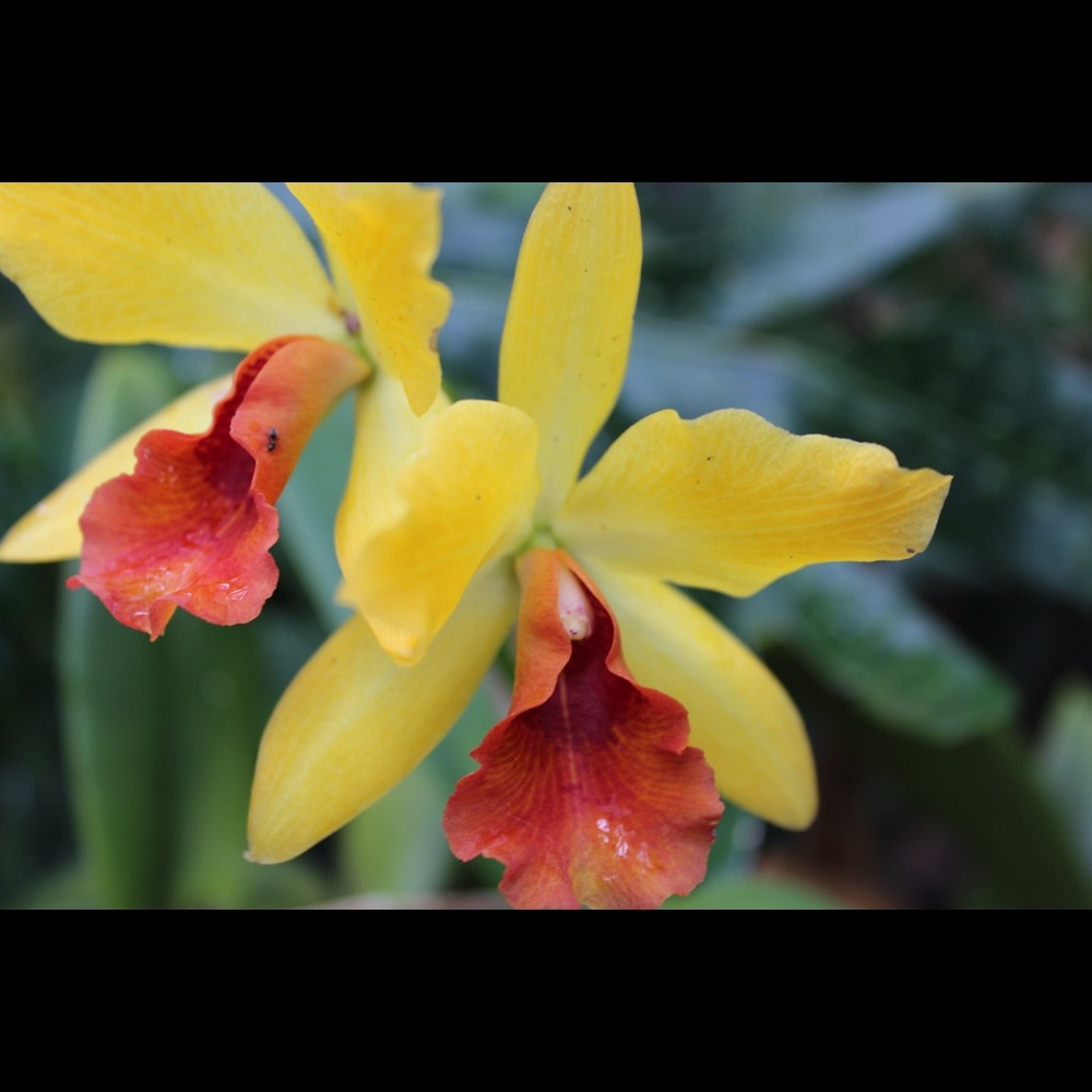 Meet your Posher, Donielle