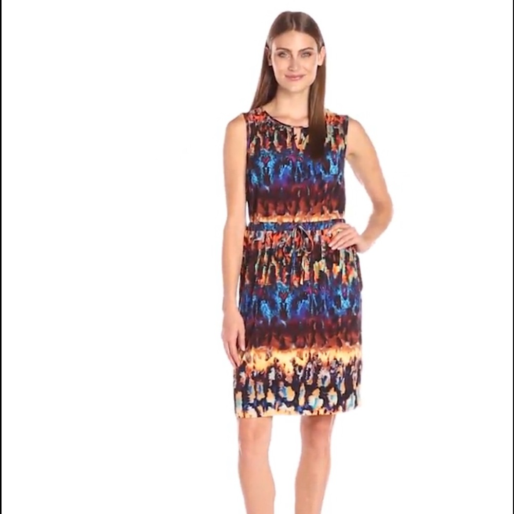 Ellen Tracy Dress