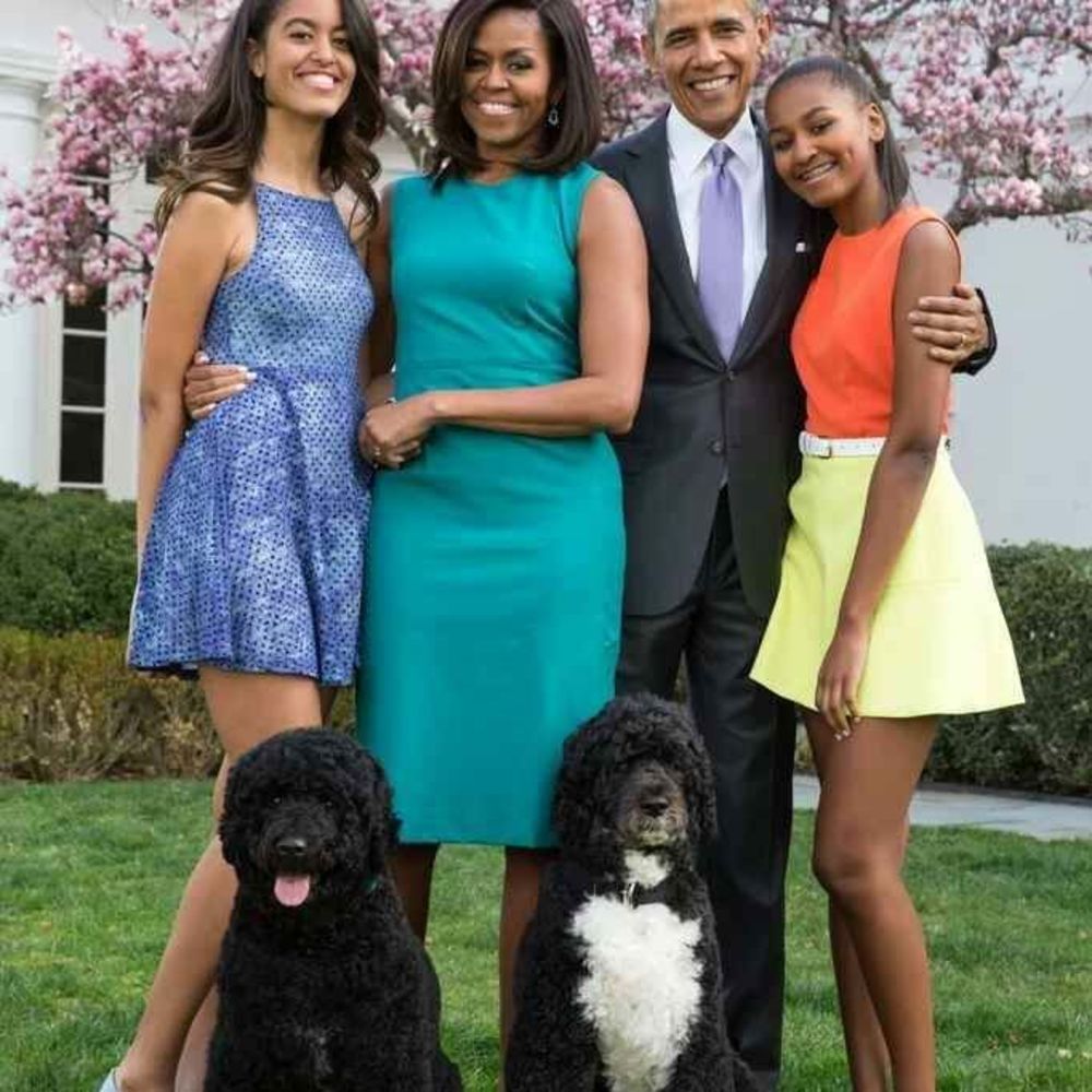 Meet your Posher, James