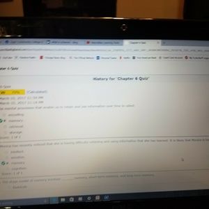 Meet your Posher, Isabella