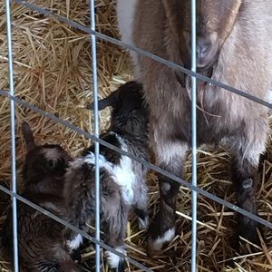 Meet your Posher, Lynn