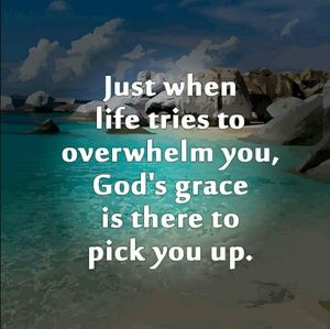 Meet your Posher, Callie