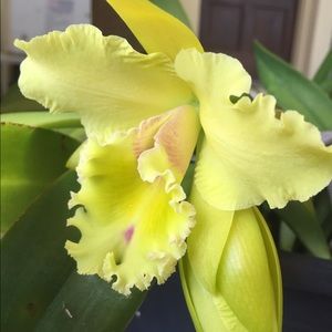 Meet your Posher, Hye