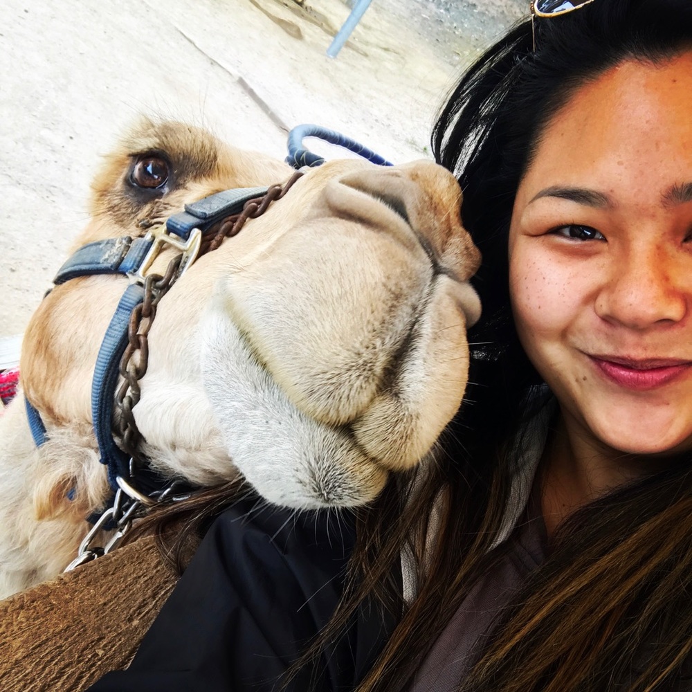 Meet your Posher, Mailynn