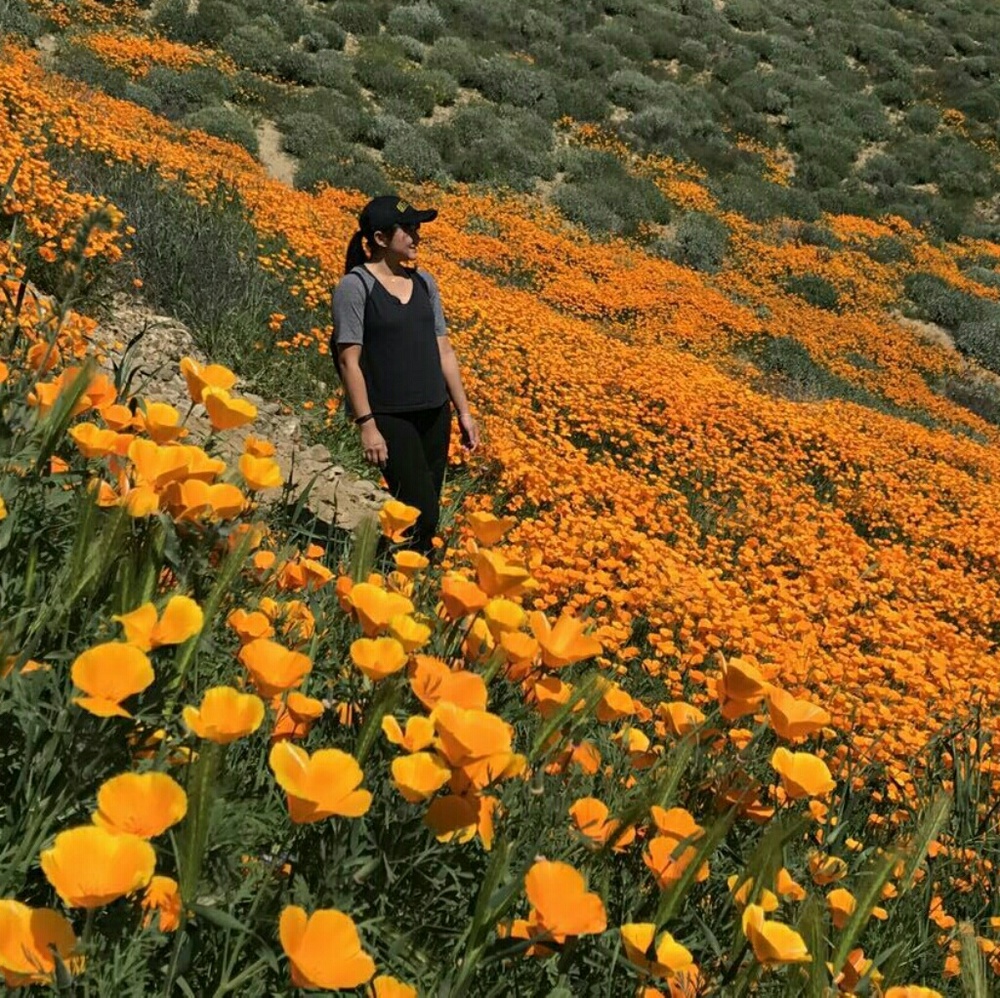 Meet your Posher, Heidy