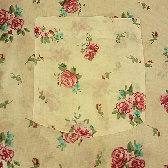 Papaya sheer top - Picture 3 of 4