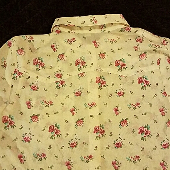 Papaya sheer top - Picture 4 of 4