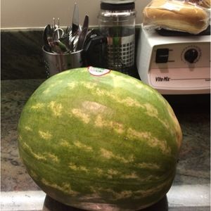 Meet your Posher, Riley