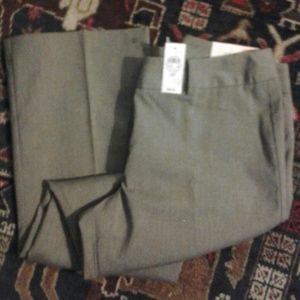 Ann Taylor Curvy Pants
