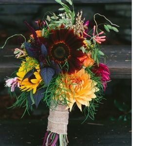 Meet your Posher, Dawn