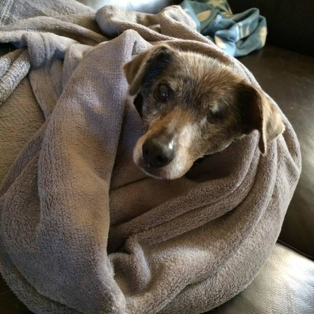 Meet your Posher, Kristi