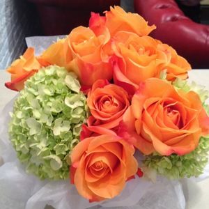 Meet your Posher, Alexandria