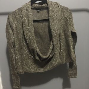 Express Cowl Neck Crop Sweater