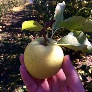 Meet your Posher, Taralyn