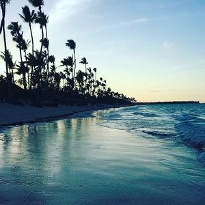 Meet your Posher, Ellie