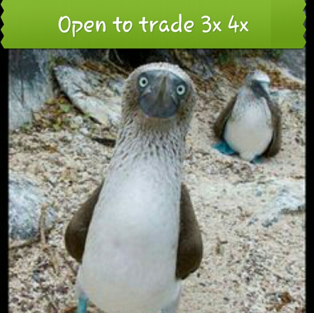 Open to trading items