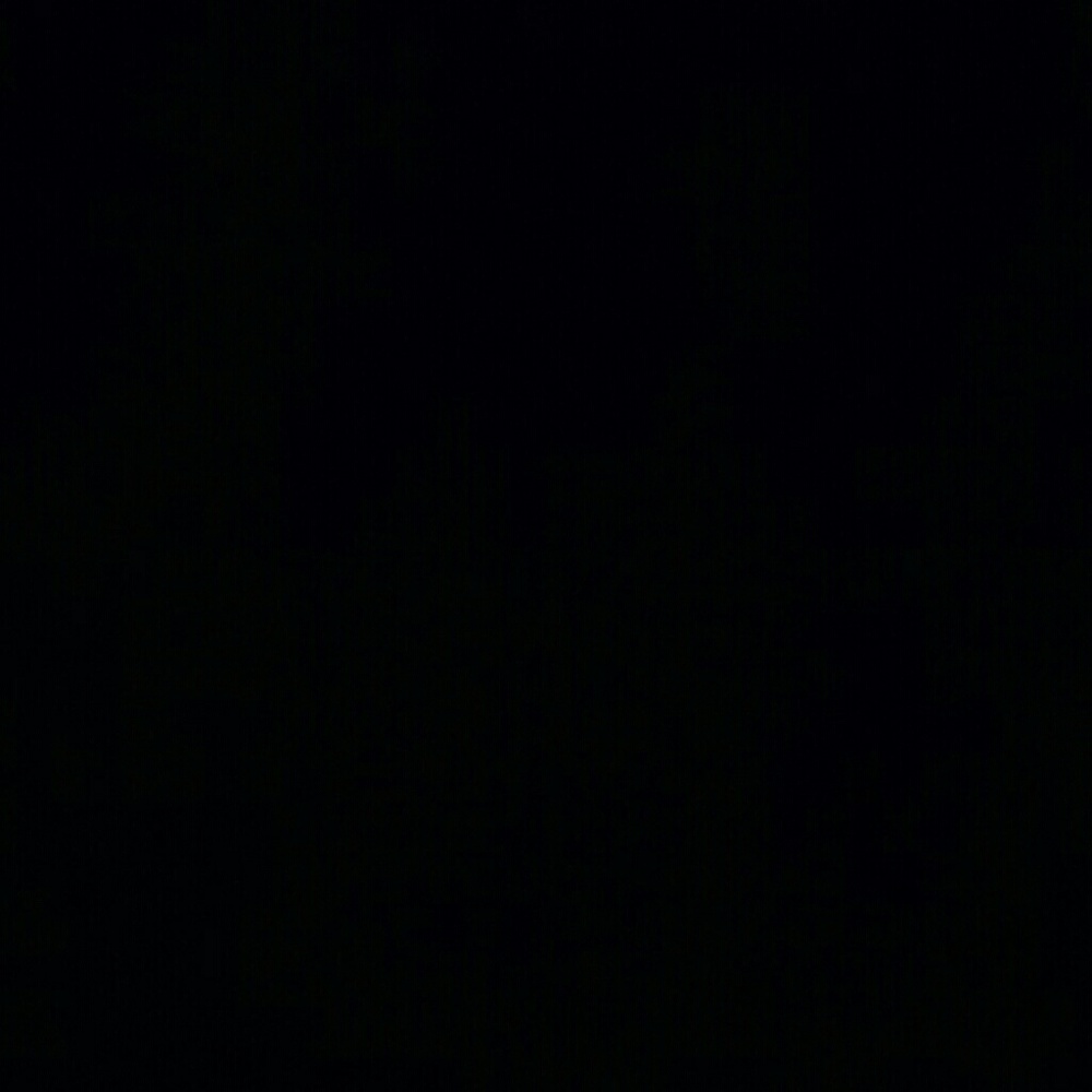 Meet your Posher, Celina