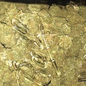 Meet your Posher, Anysha