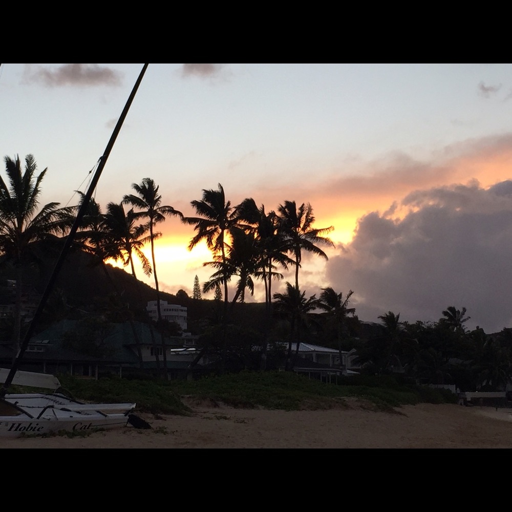 Meet your Posher, Alex