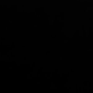 Meet your Posher, Dave