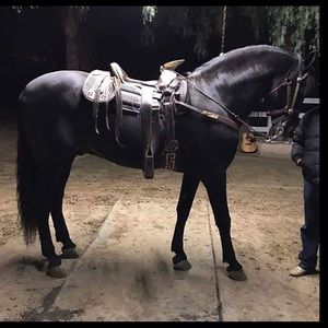 Meet your Posher, Victor