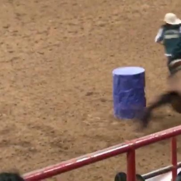 Meet your Posher, Laine - Picture 1 of 1