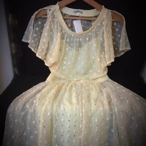 NWOT Anthropologie Swiss Dot Sequin Dress