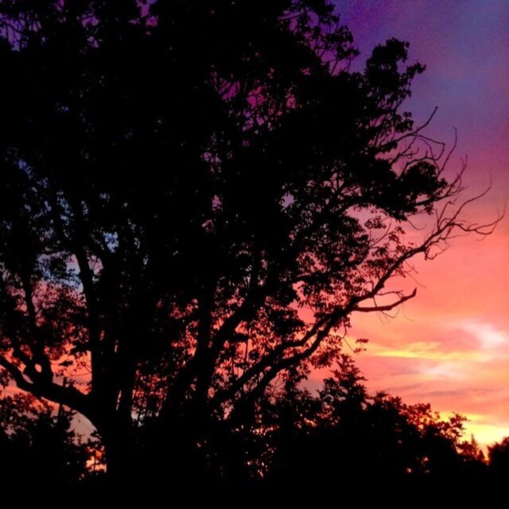 Meet your Posher, Sonya