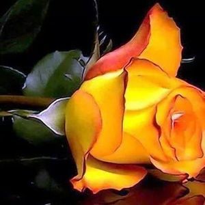 Meet your Posher, Annette