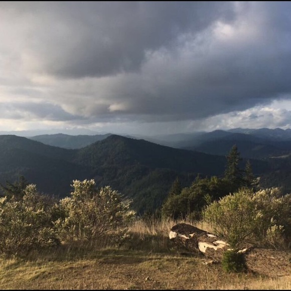 Hello I'm Ansley! Please read description! - Picture 5 of 5