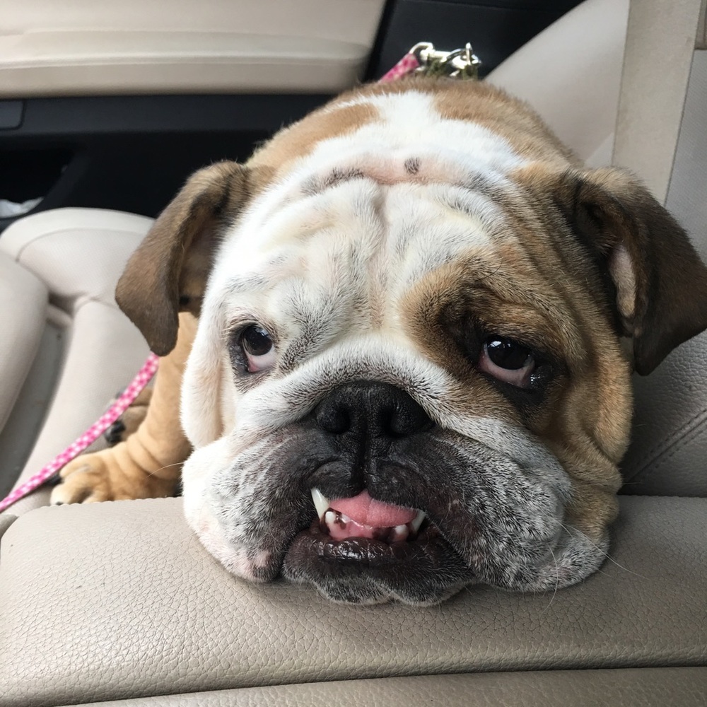 Meet your Posher, Rebecca